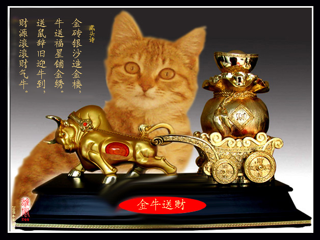 《招财猫迎金牛》 摄影 雄风zqq