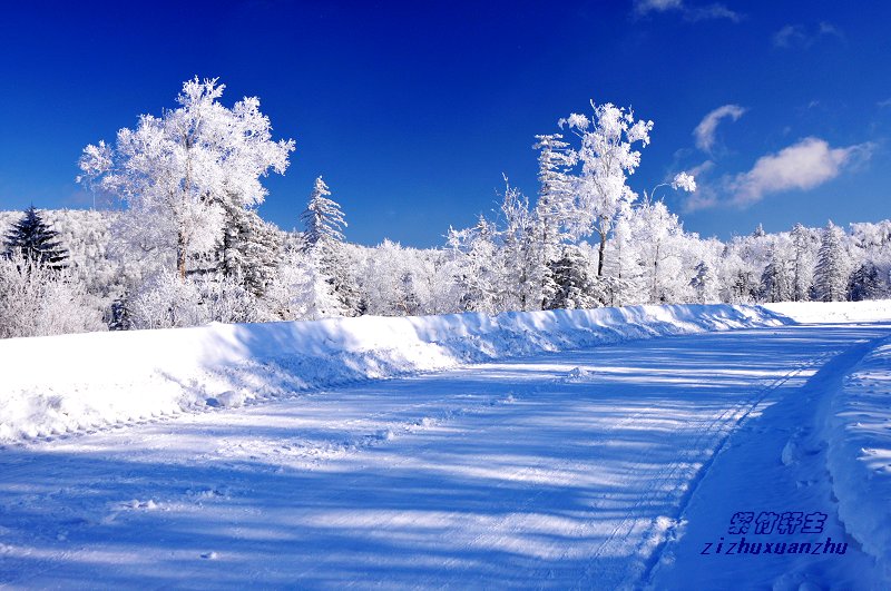 林海雪原 摄影 紫竹轩主