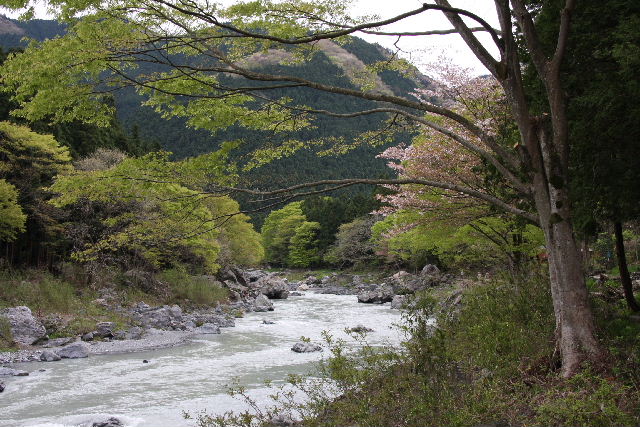 御岳溪谷 摄影 卡擦一声