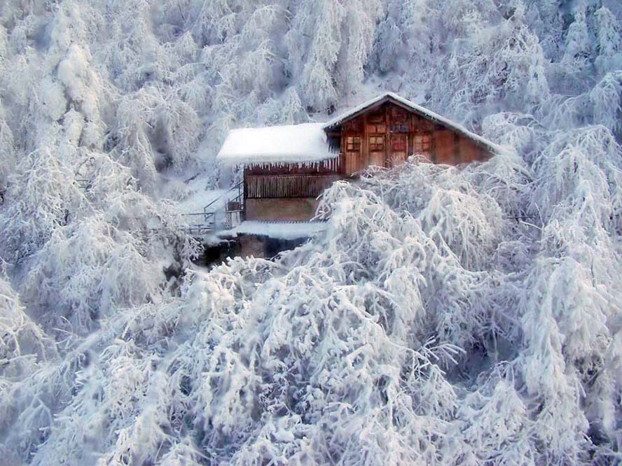 瑞雪兆丰年 摄影 旺旺