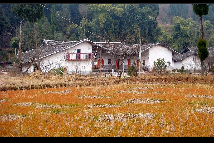 寂静乡村 摄影 荷舞东风