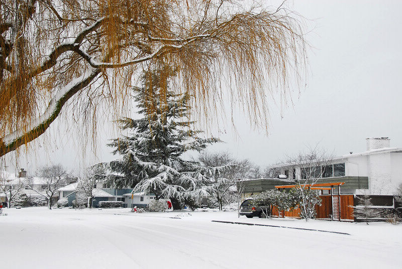 2009年的第一场雪 摄影 孤帆月影