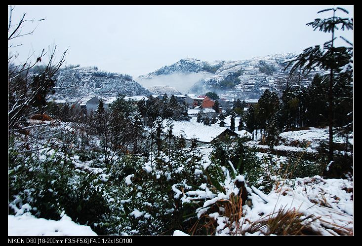 茗岙雪景 摄影 茗岙老胡