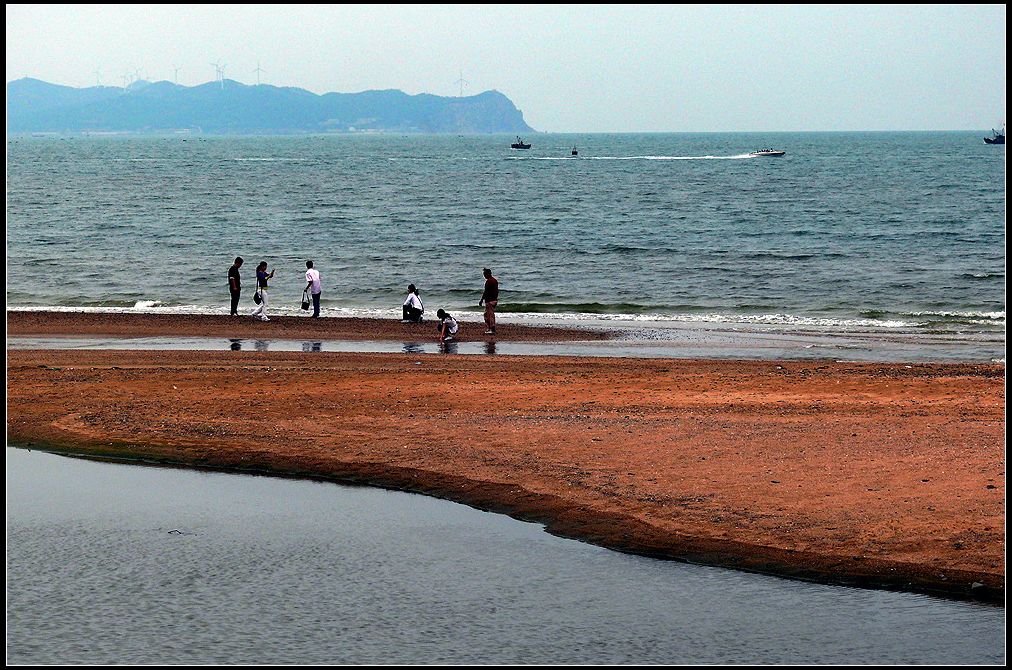 渤海之滨 摄影 涛声68