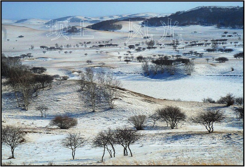 冬雪坝上 摄影 草原老张