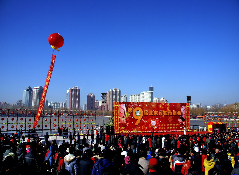 第九届北京莲花池庙会 摄影 喜庆