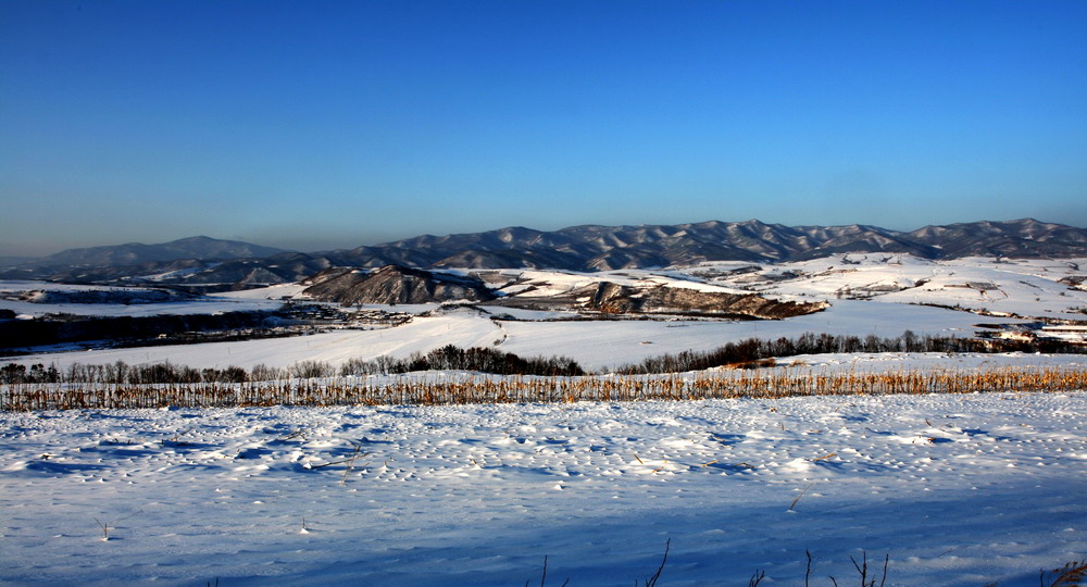 雪后即景 摄影 勇敢者