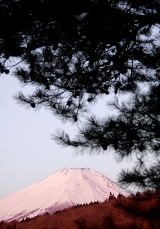 富士山(之一) 摄影 阳光客