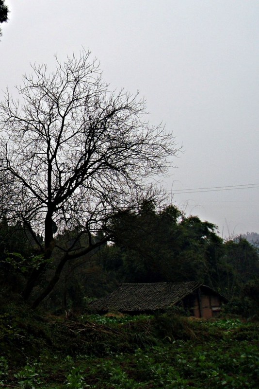 山村农舍 摄影 天地山水