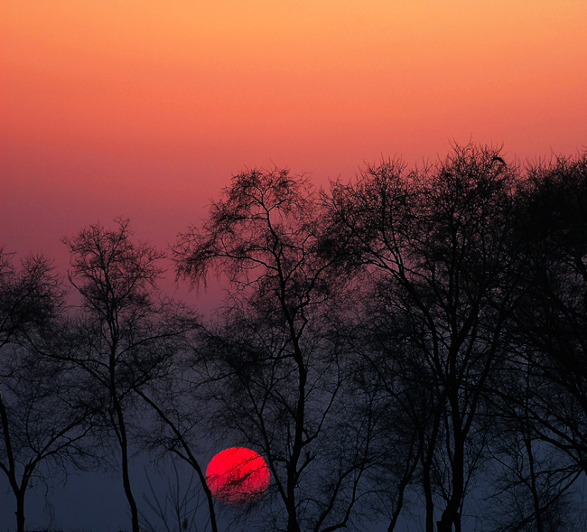 醉夕阳 摄影 古堤