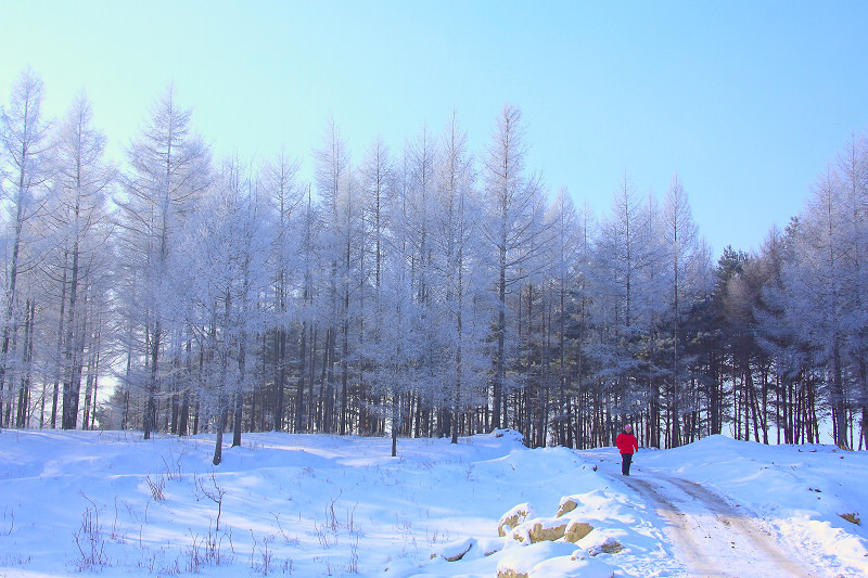 走出大山 摄影 龙江雪