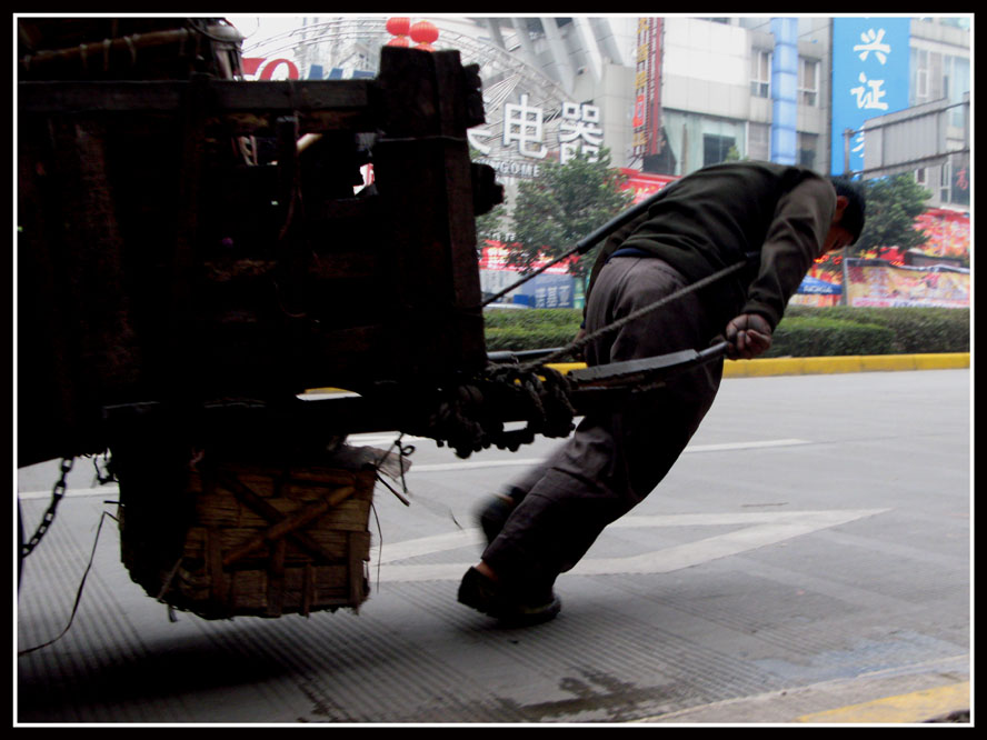 牛年正月六  路遇“老黄牛” 摄影 快乐瞬间