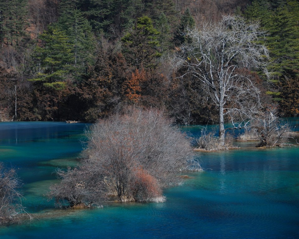 九寨冬韵 摄影 闲逛老驴