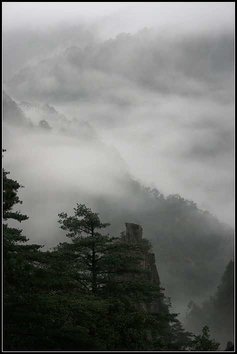 雾锁莽山（1） 摄影 lake