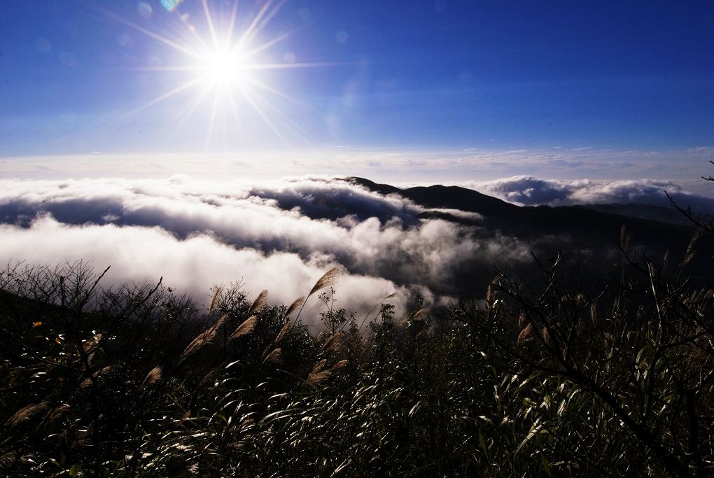 雷公山雾淞 摄影 不等闲