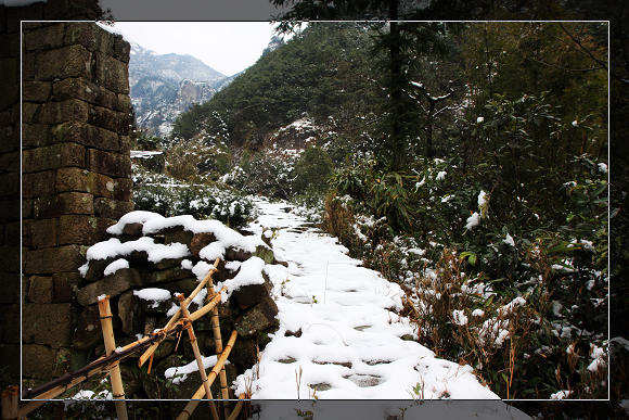 2009年的第一场雪 摄影 项目