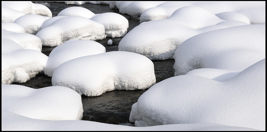 2009之雪-1 摄影 艺夫