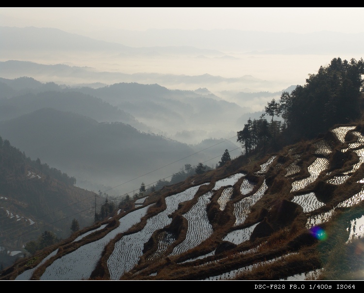 紫鹊界梯田 摄影 sunrise2006