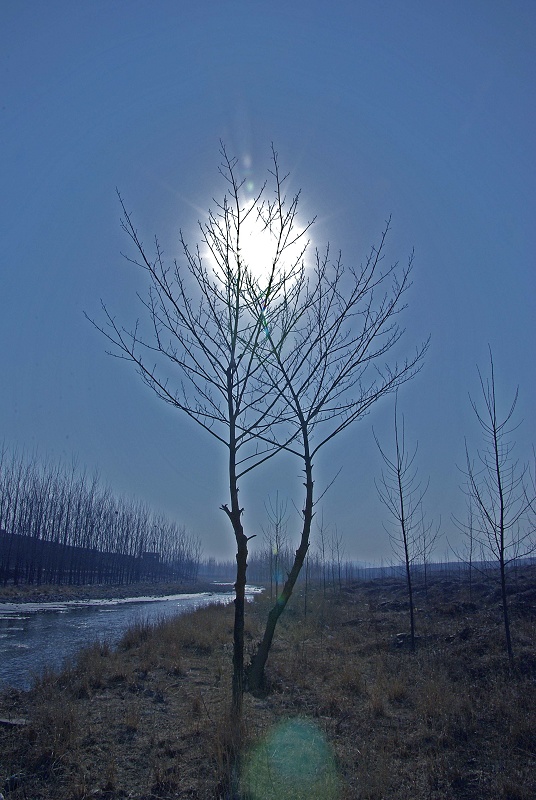 依恋 摄影 xianglu