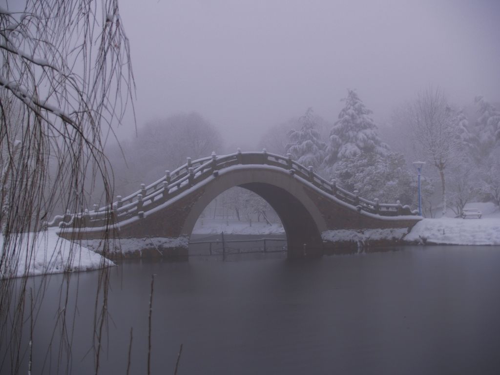 初雪 摄影 天下任我行