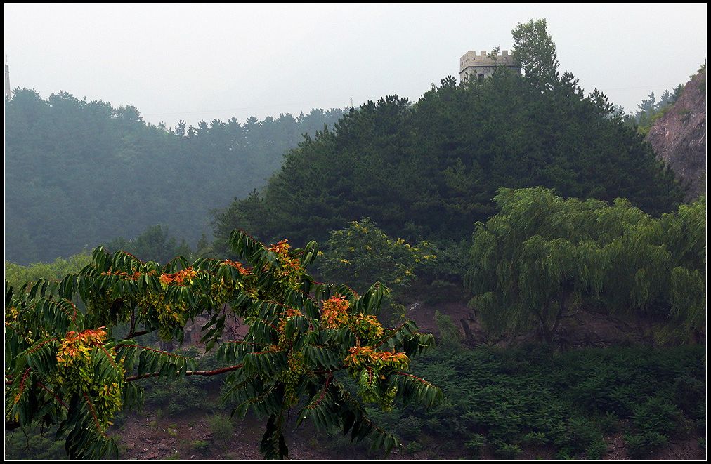 岁月峥嵘 摄影 涛声68