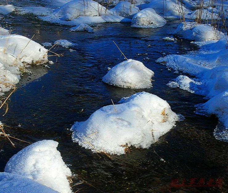 溪流飘雪-2 摄影 草原老张