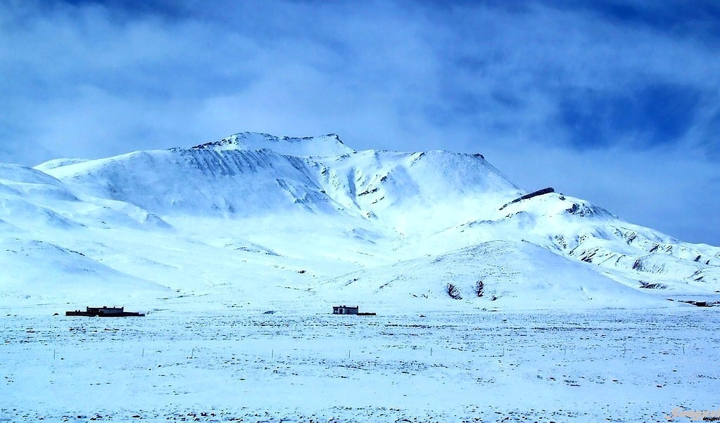 雪域牧场 摄影 弄花斋堂主