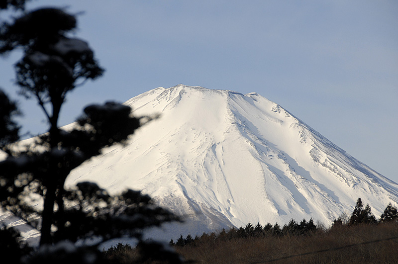 松伴富士山 摄影 阳光客