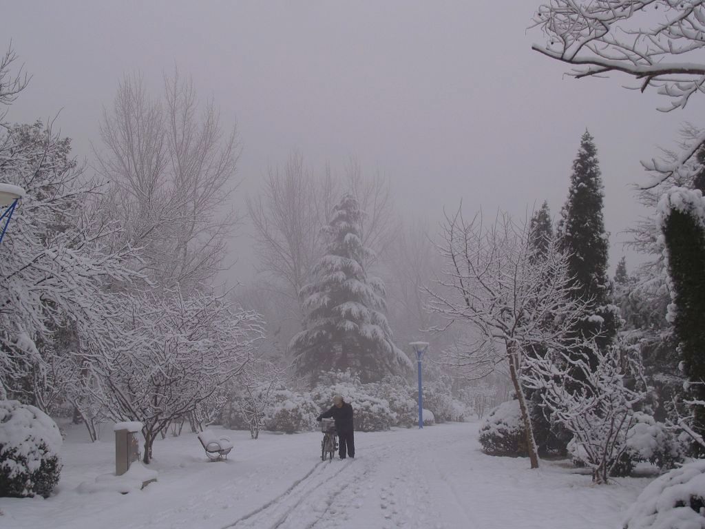 雪中行 摄影 天下任我行