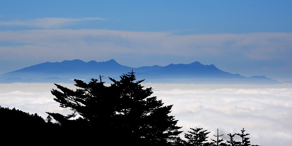 MT.emei 摄影 Fragile