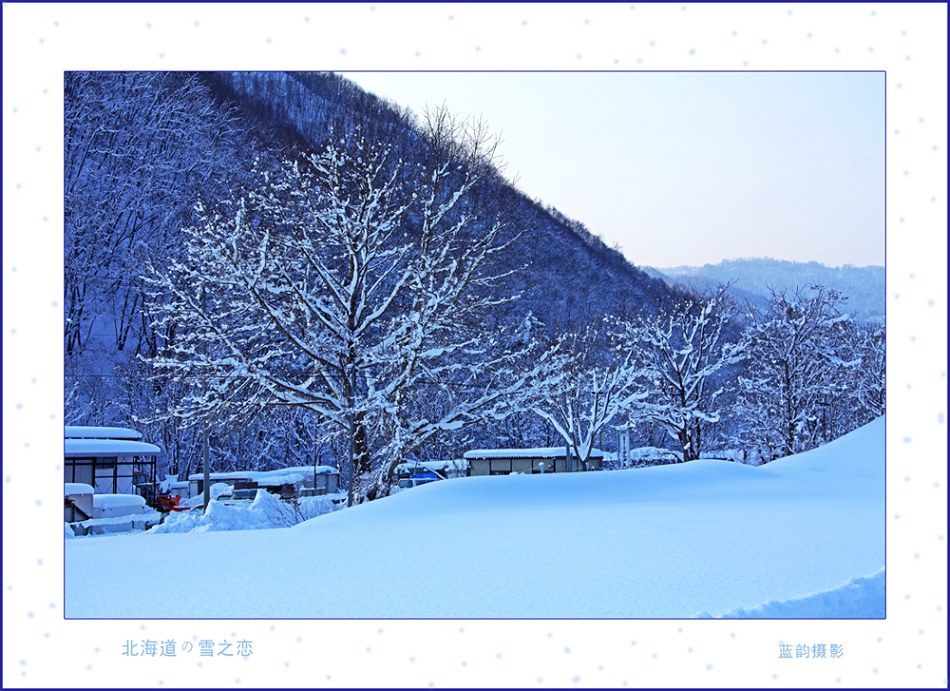 北海道の雪之恋 摄影 碧海蓝韵