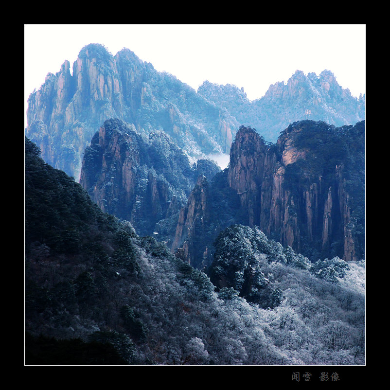 峰峰寒列簇芙蕖 摄影 闻雪