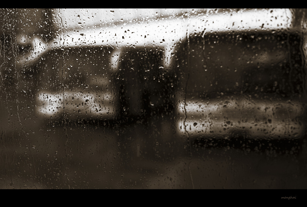 冬雨 摄影 海123456789