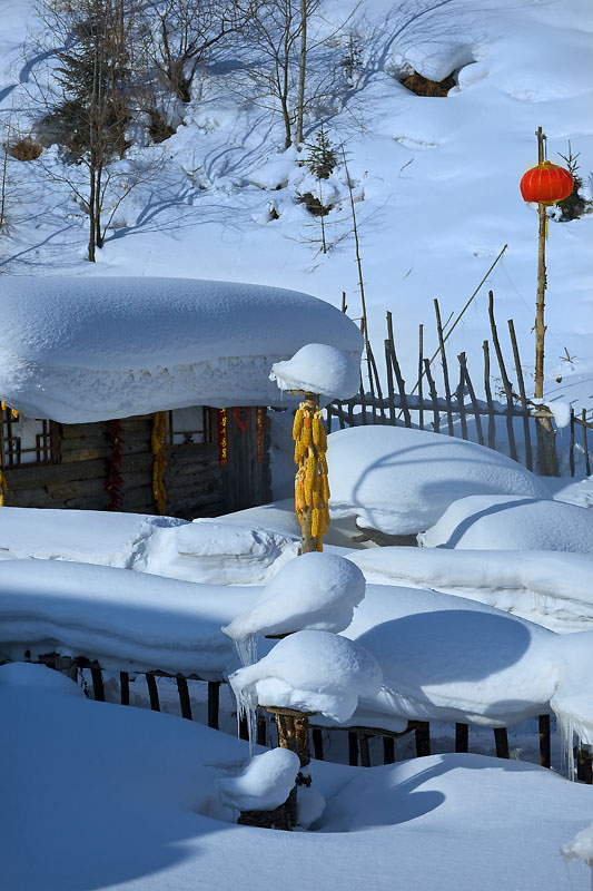 雪乡 摄影 闲情逸致