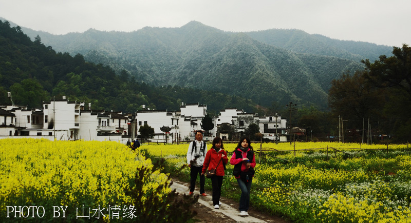 《花季》 摄影 山水情缘