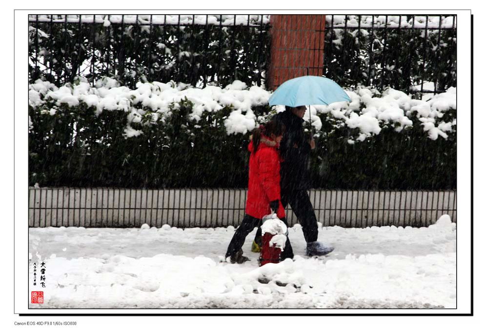 2008初春大雪 摄影 青山居士