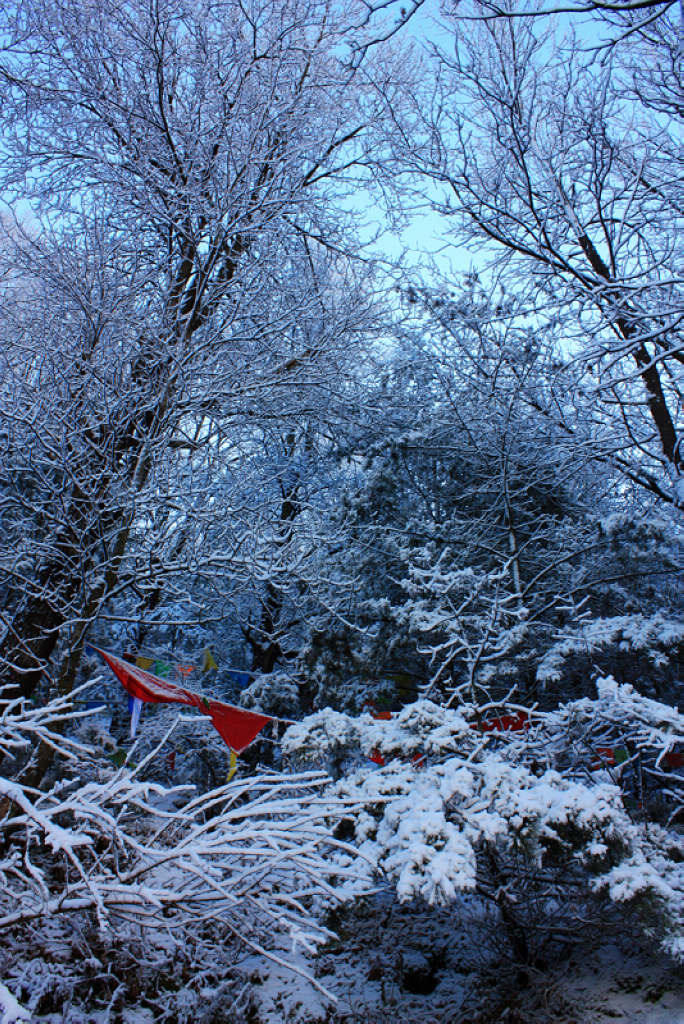 康定跑馬山雪景 摄影 dengge