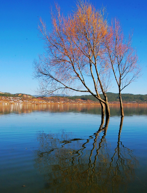 云南拉什海（湿地）3 摄影 牛乐