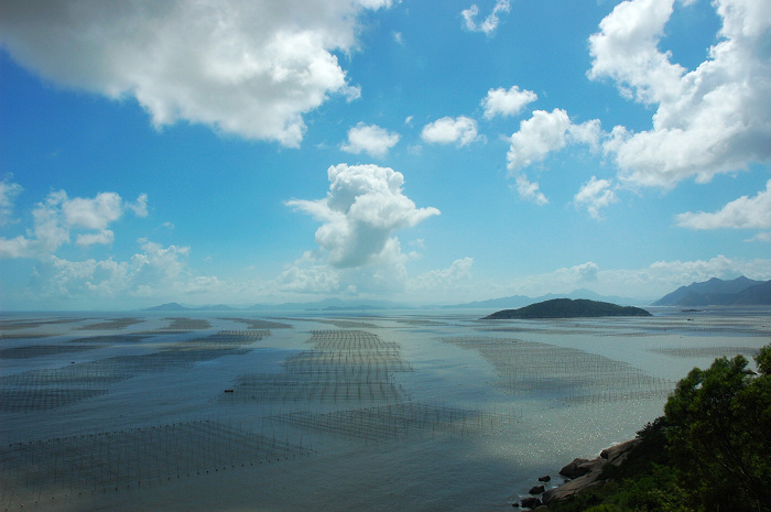 家乡的海--海上田园 摄影 寂寞海