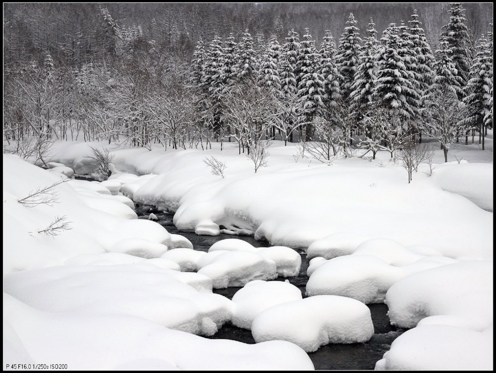 雪景－2 摄影 艺夫