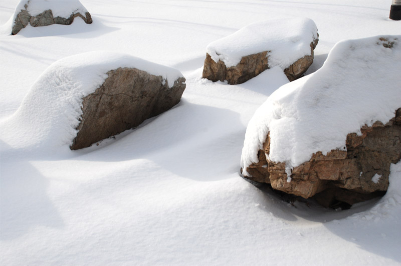 迎春飞雪——14 摄影 独上江楼望月