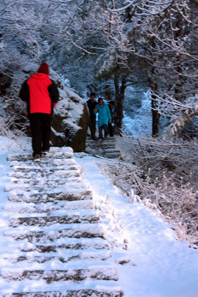 踏雪人 摄影 dengge