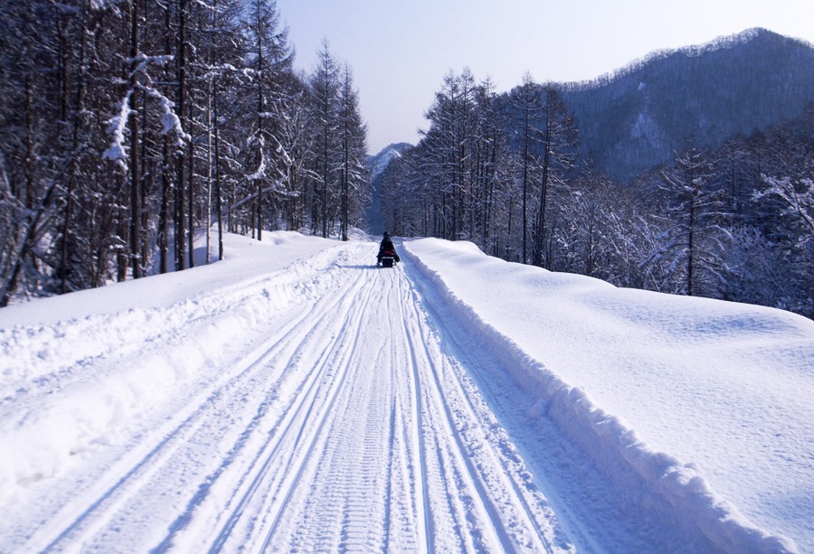 雪山飞狐 摄影 碧海蓝韵