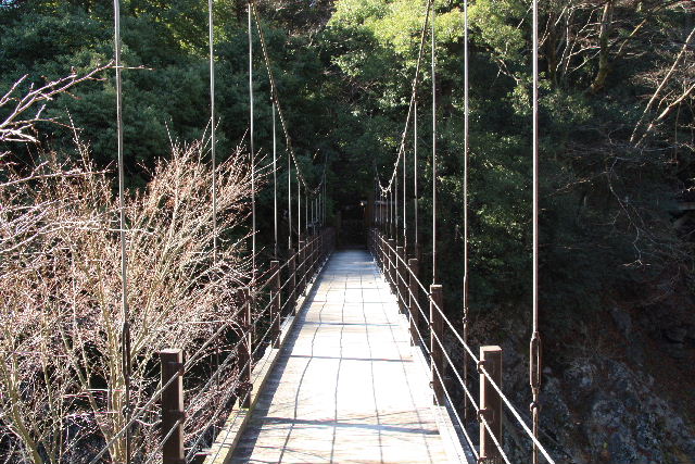 日本东京都多摩川风景之三 摄影 卡擦一声