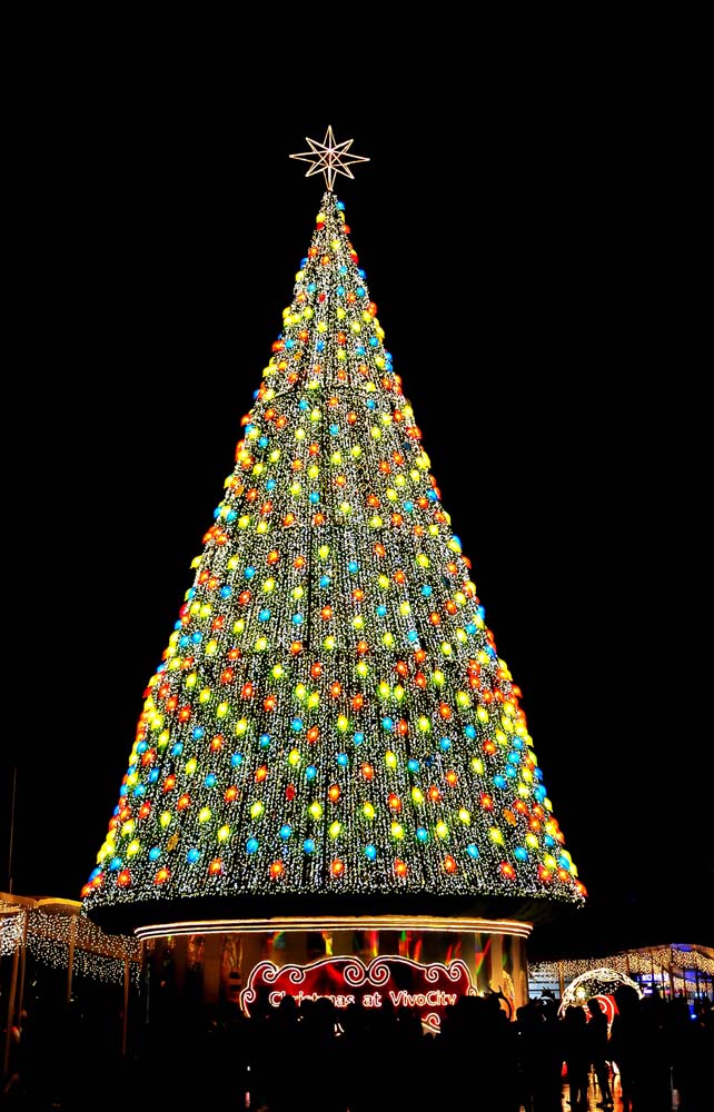 X'mas Tree at Vivo City 摄影 云杉清柚