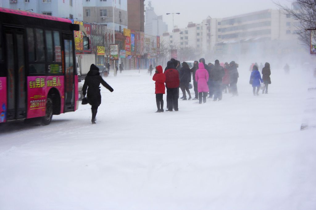 风雪交加 摄影 光影之乐