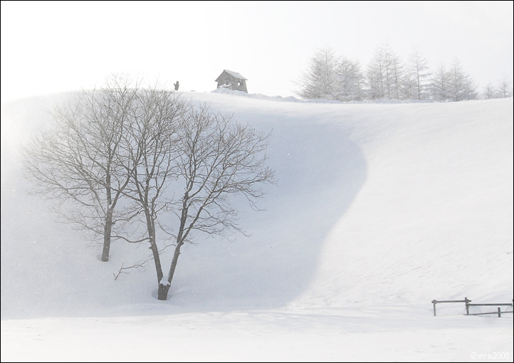 winter 摄影 趙鎭順