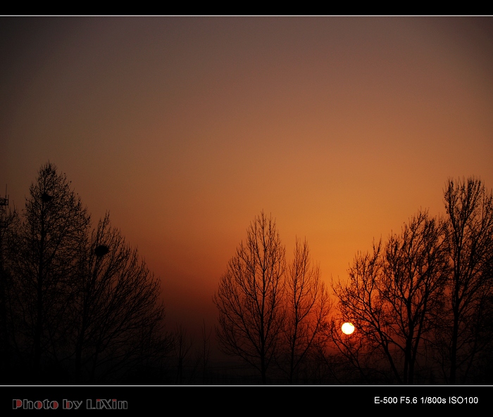 冬.夕阳 摄影 szhansy