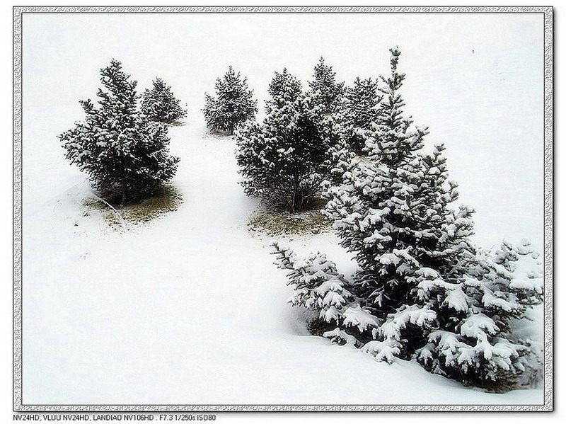 冬天里的第一场雪 摄影 茹枫