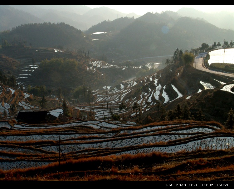 紫鹊界梯田 摄影 sunrise2006